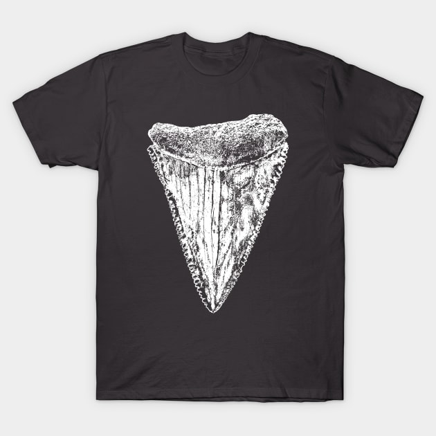 Great White Shark Tooth T-Shirt by IncognitoMode